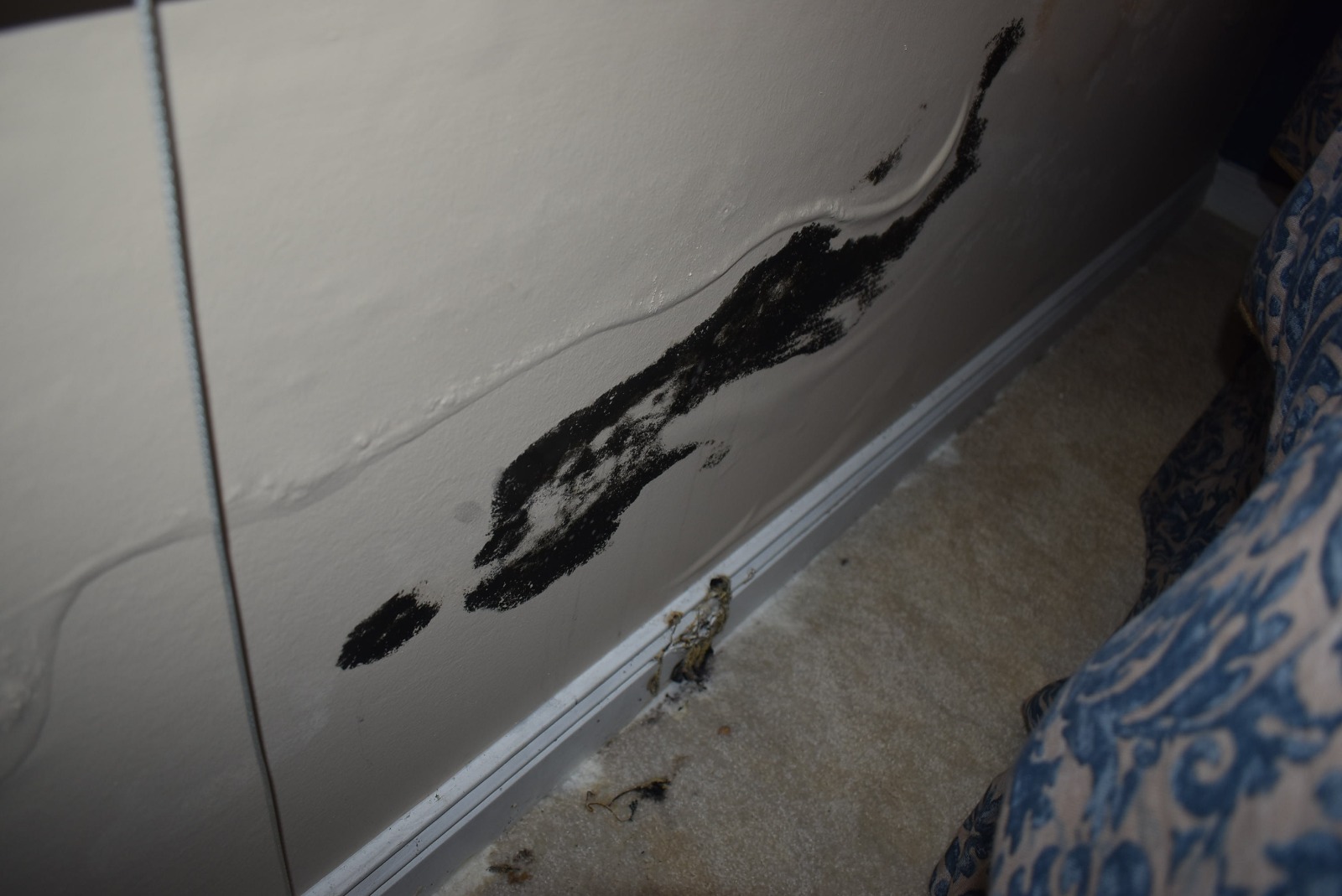 black mold