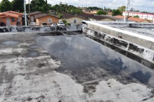 old and deteriorated membrane